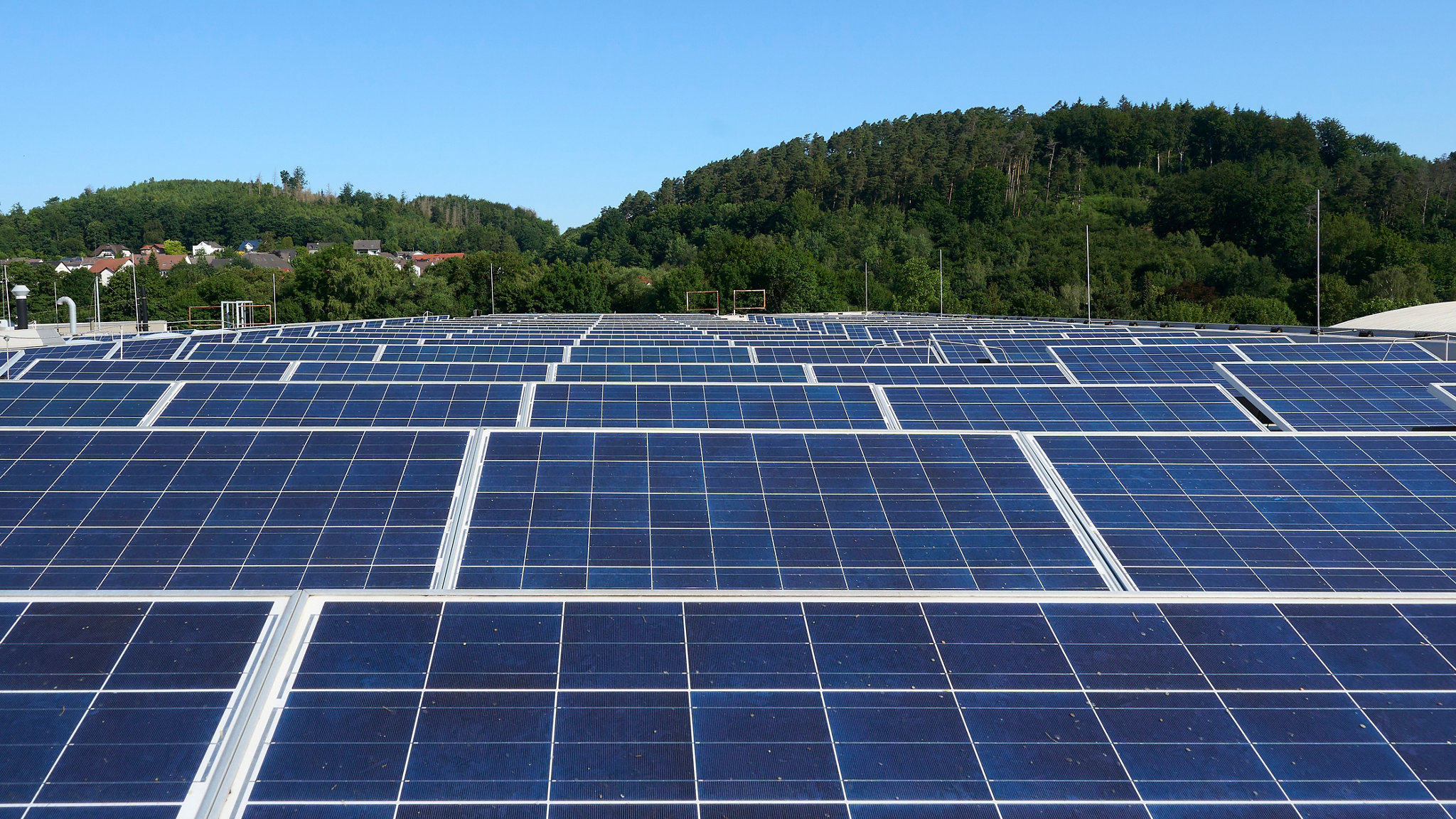 Solarpanels mit Wald im Hintergrund