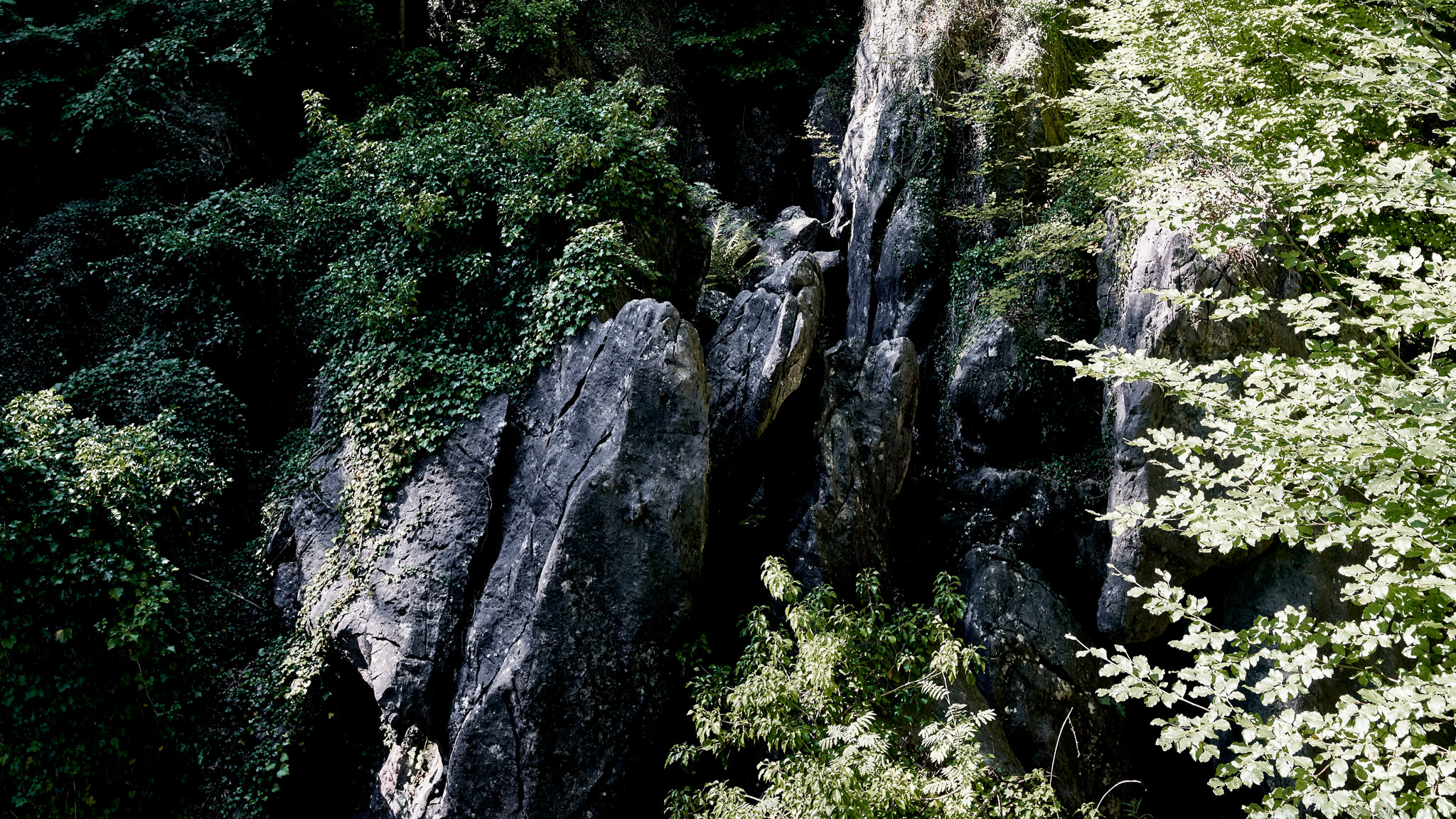 Felsformationen und Wald in Hemer